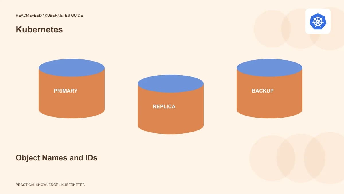 Object Names and IDs