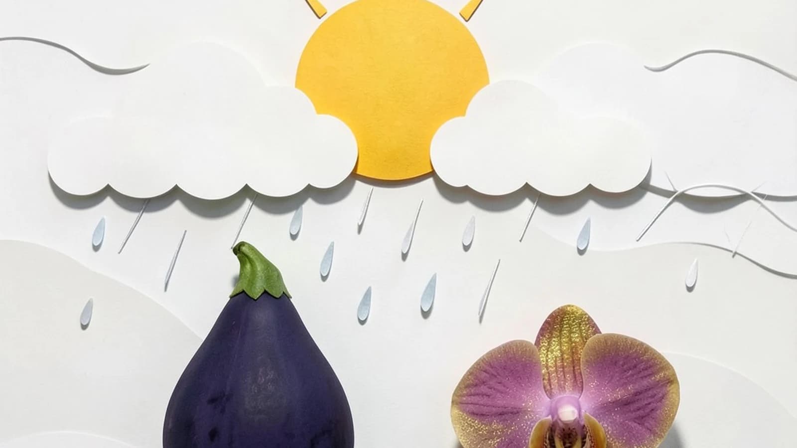 Indore Weather Update: Hot Days, Cold Nights and Rainfall Deficit as Monsoon Withdraws